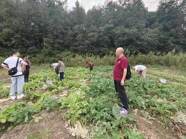 四面山采摘活动